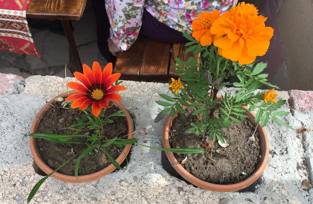 Three Jugs B&B Jrvezh Экстерьер фото